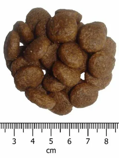 OPTIMAnova Dog Adult Large Chicken & Rice 12 kg