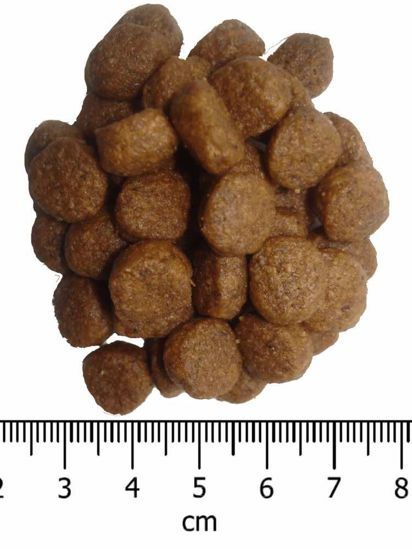 OPTIMAnova Dog Adult Mini Chicken & Rice 6 kg