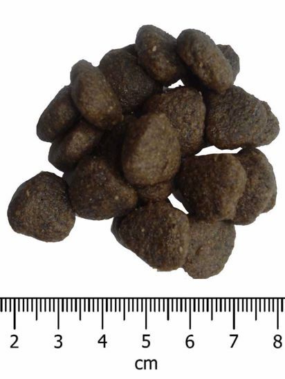 OPTIMAnova Dog Adult Sensitive Salmon & Potato GF 12 kg