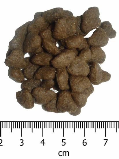 OPTIMAnova Dog Puppy Sensitive Salmon & Potato GF 12 kg