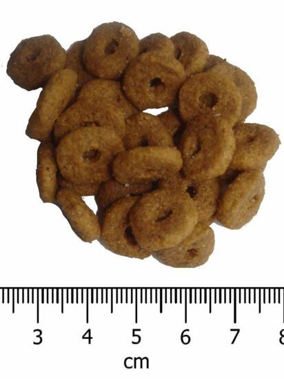 OPTIMAnova Cat Adult Chicken & Rice 6 kg