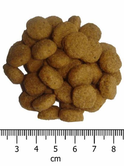 OPTIMAnova Cat Adult Light 6 kg