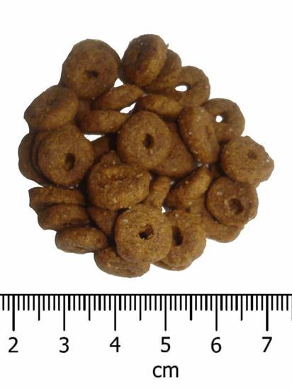 OPTIMA nova Cat Adult Salmon&Rice 8 kg