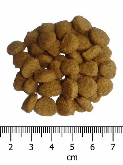OPTIMAnova Cat Sterilised 6 kg
