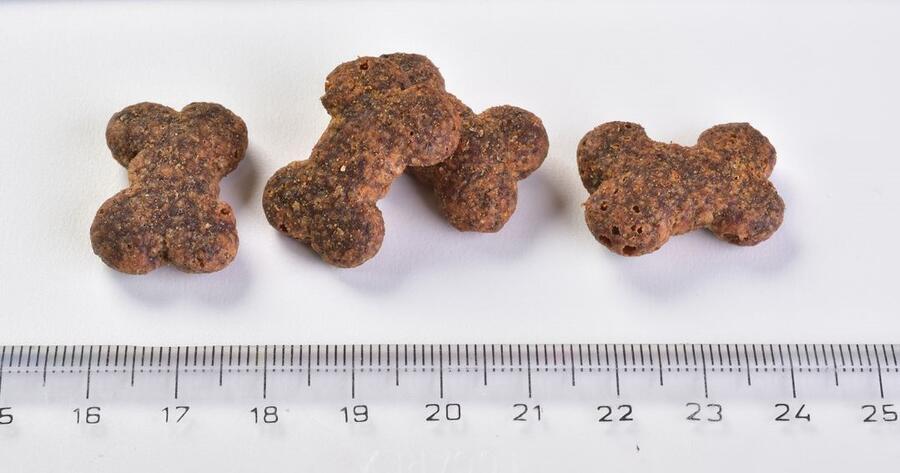 Brit Care Dog Crunchy Cracker Insects with Lamb enriched with Raspberries 200 g