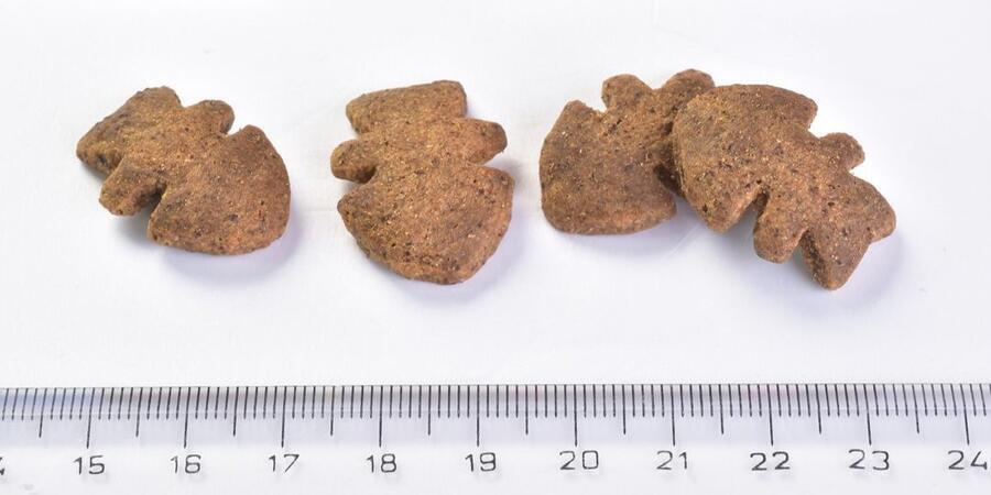 Brit Care Dog Crunchy Cracker. Insects with Salmon enriched with Thyme 200 g