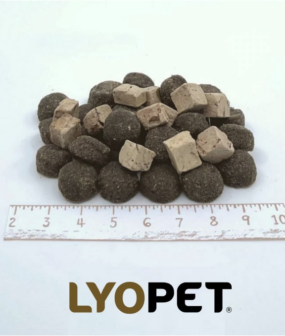 LYOPET Extra Raw Dog Adult Duck 10,8kg