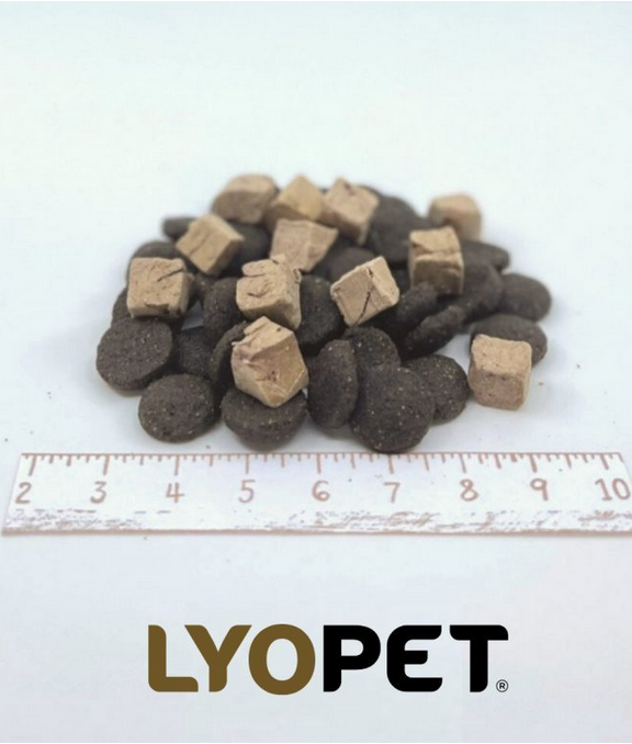 LYOPET Extra Raw Dog Adult Salmon 3,6kg